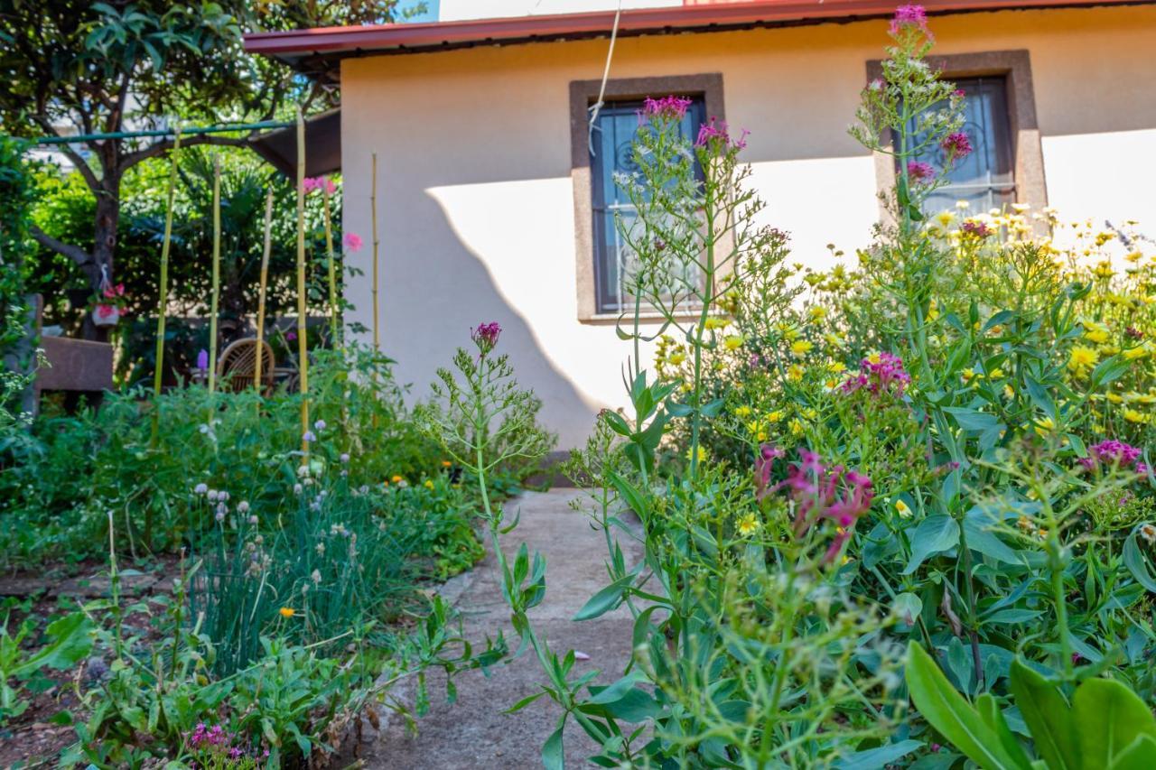 Little Garden House Villa Rijeka Exterior photo
